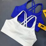 نیمتنه پشت بندی